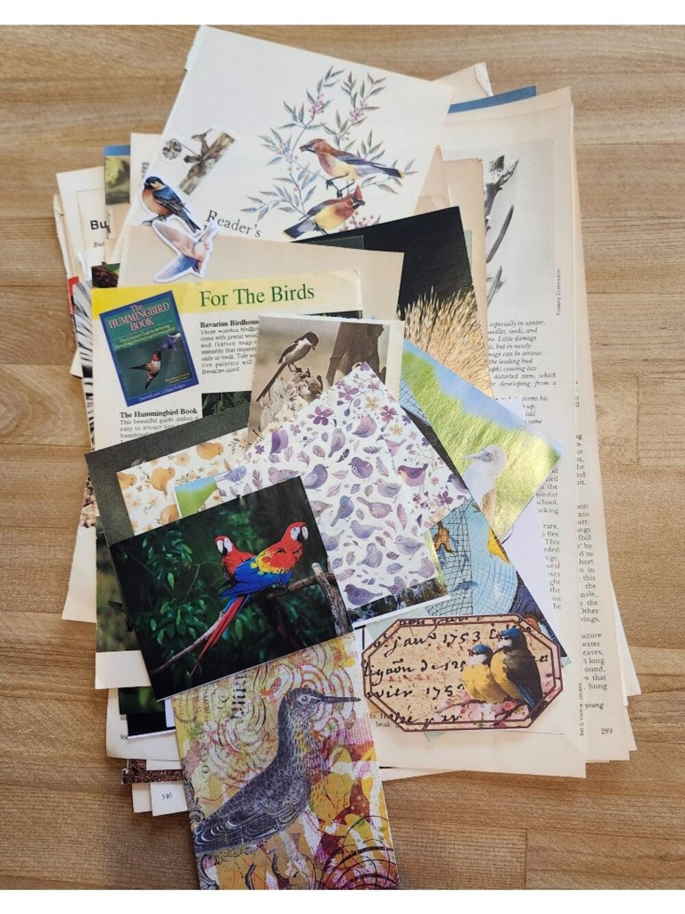 45+ Piece Bird Theme Ephemera Lot Junk Journal Kit Paper Mixed Bundle